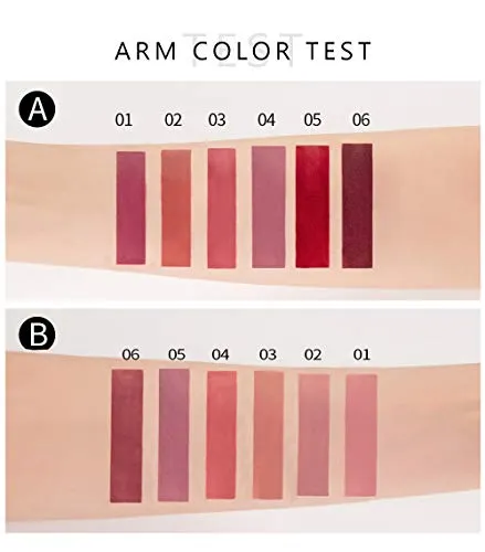 6Pcs Matte Liquid Lipstick Makeup Set, Matte liquid Long-Lasting Wear Non-Stick Cup Not Fade Waterproof Lip Gloss (Set A)