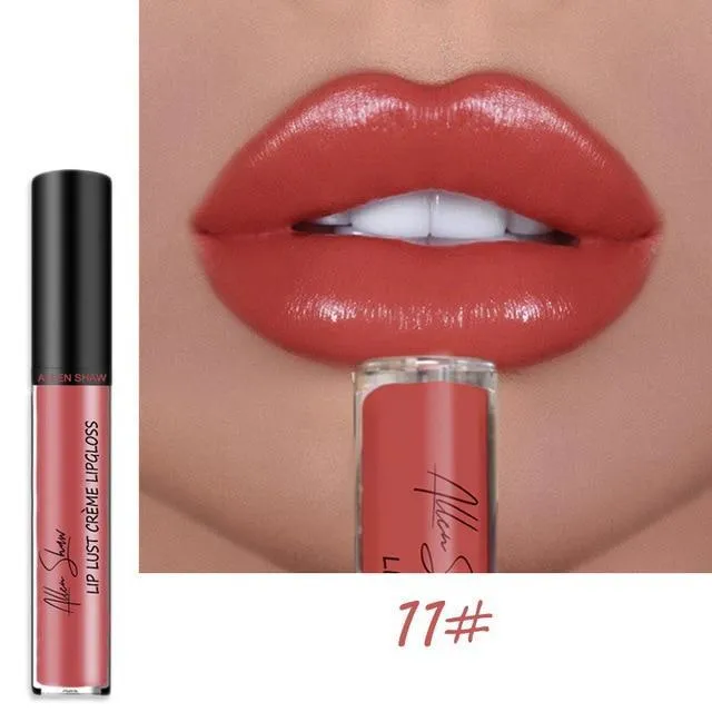 Allen Shaw Liquid Lipstick Moisturizing Waterproof Gloss
