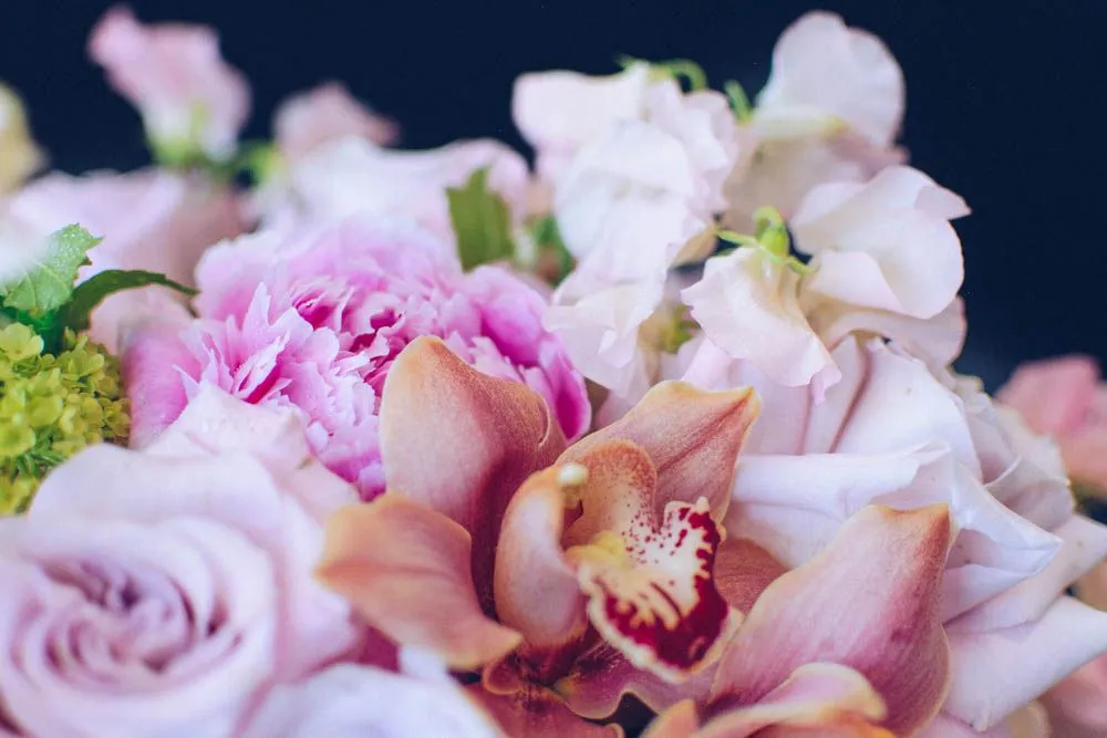 Blushing Beauty
