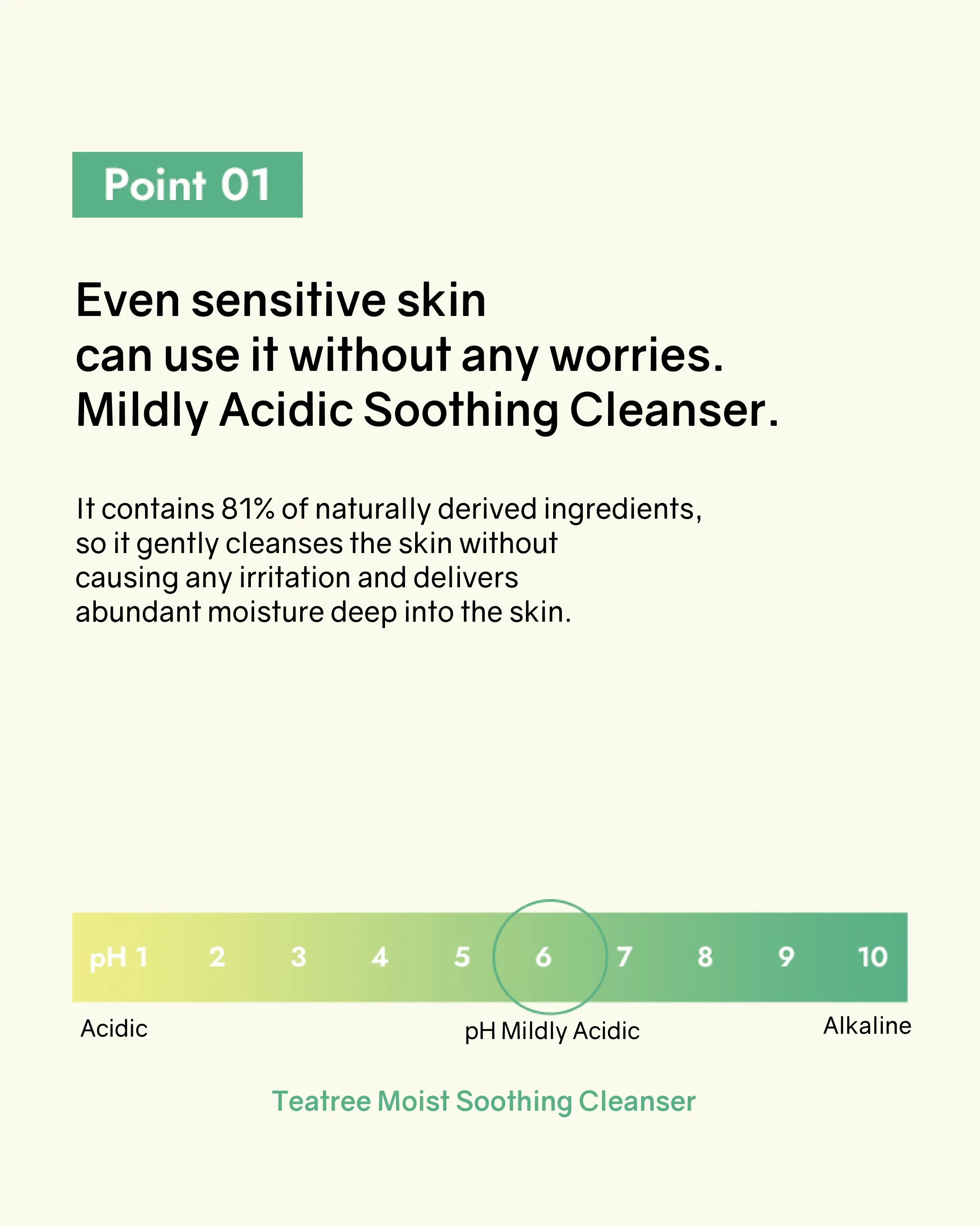 Bonabella Teatree Moist Soothing Cleanser