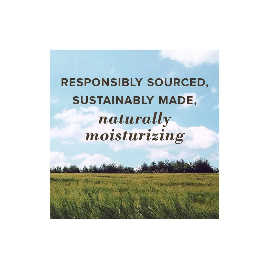 Burt's Bees SPF 15 All-Weather Moisturizing Lip Balm