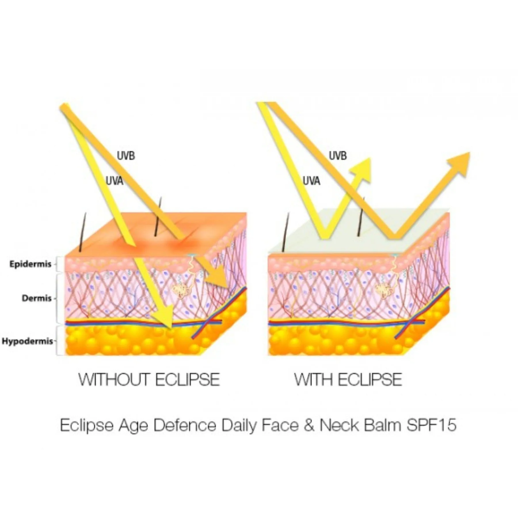 Eclipse Age Defence Tinted Mineral Sunscreen balm -SPF15  Daily Protection From The Sun & Environment