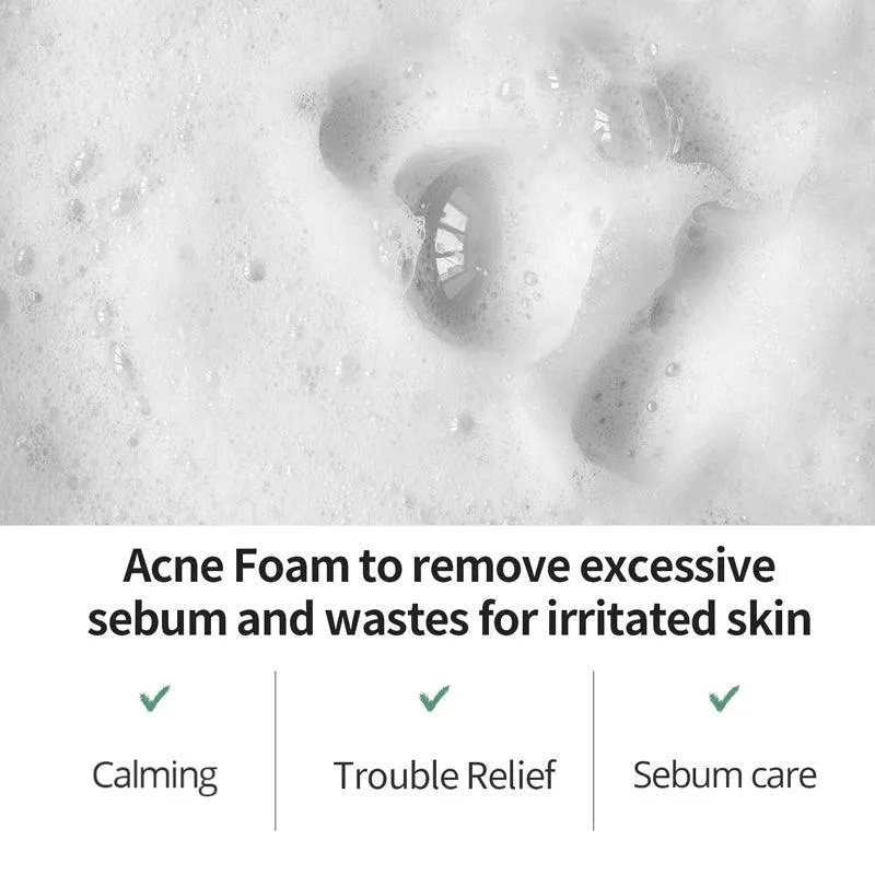[Farmstay] Tea Tree Biome Calming Acne Foam 180ml