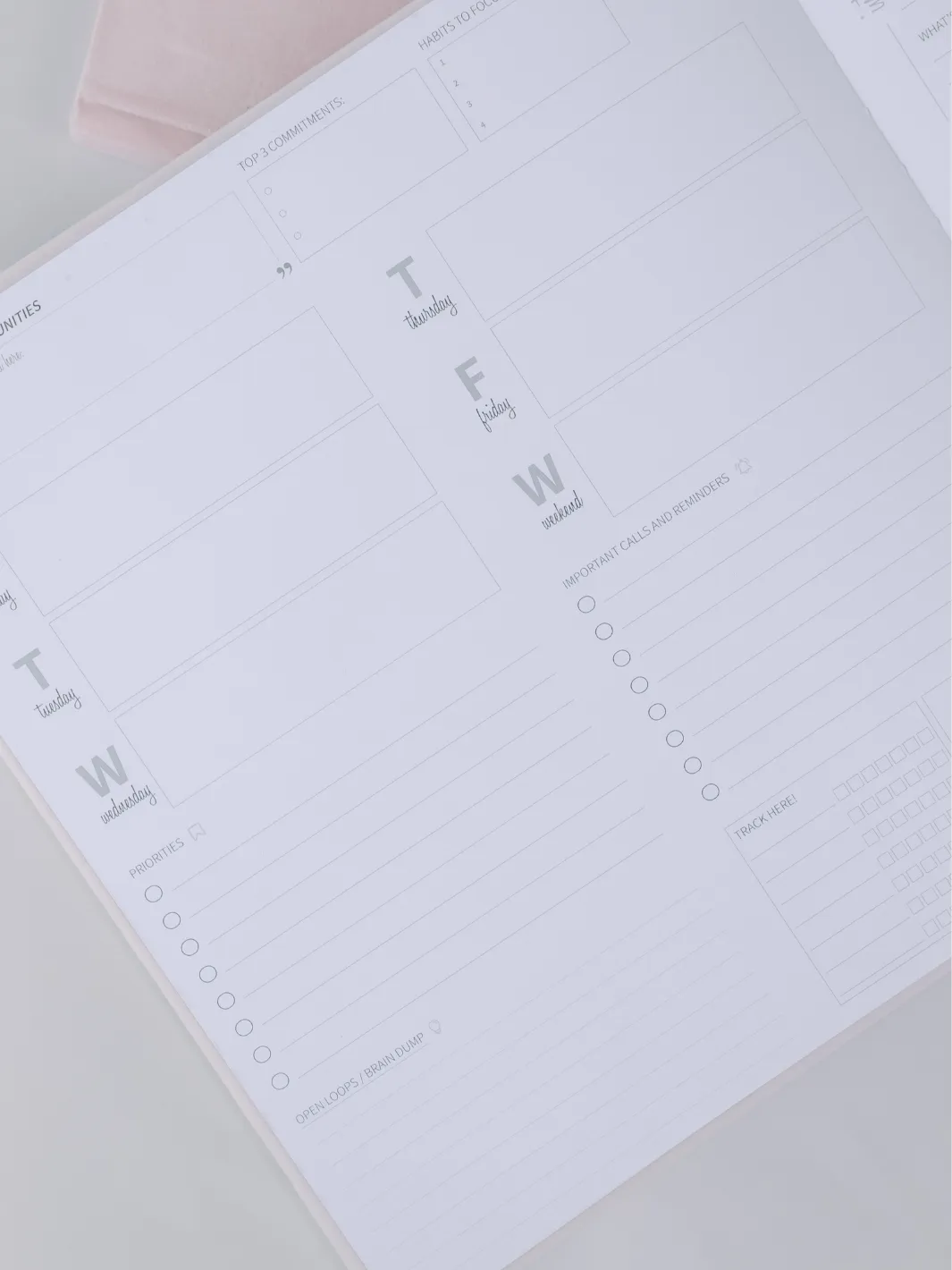 Guided Journal Weekly Entry (Weekly Planner) - Blush