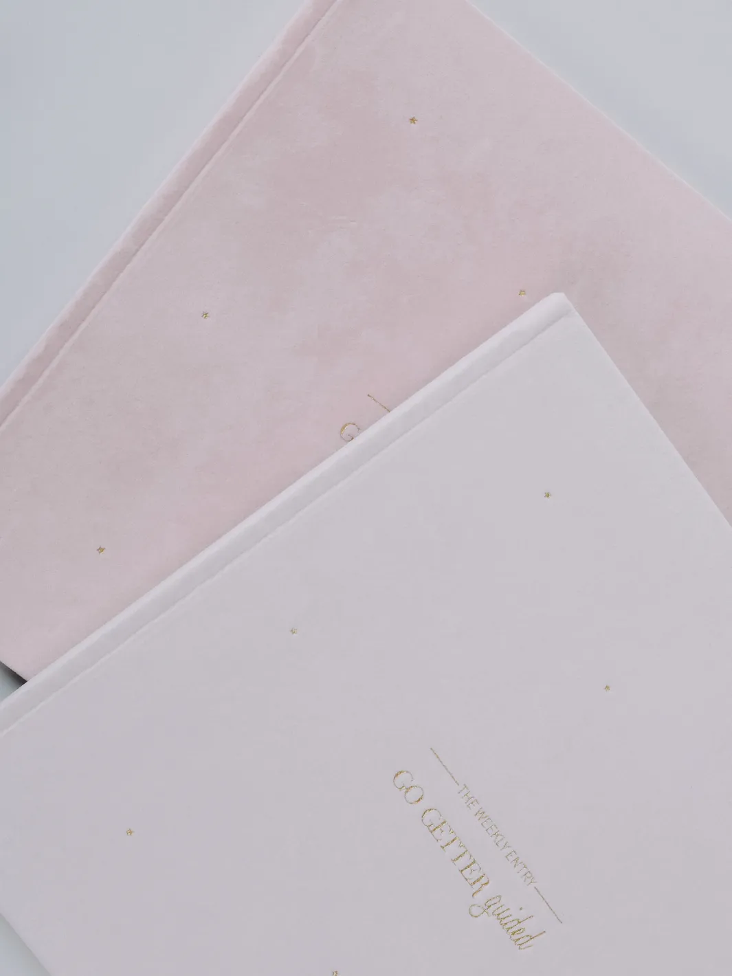 Guided Journal Weekly Entry (Weekly Planner) - Blush