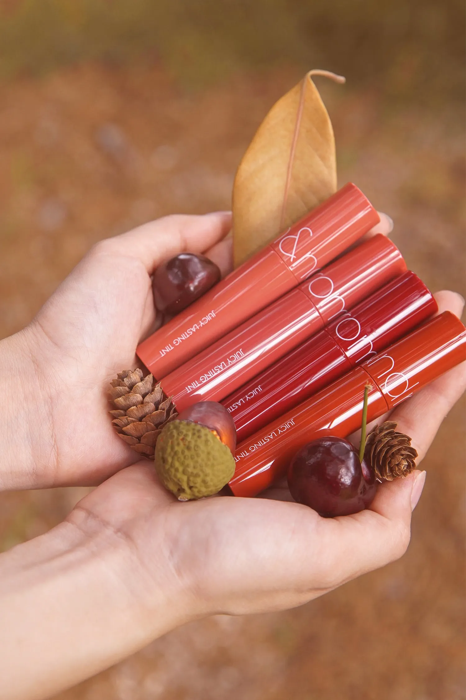 Juicy Lasting Tint Autumn Series