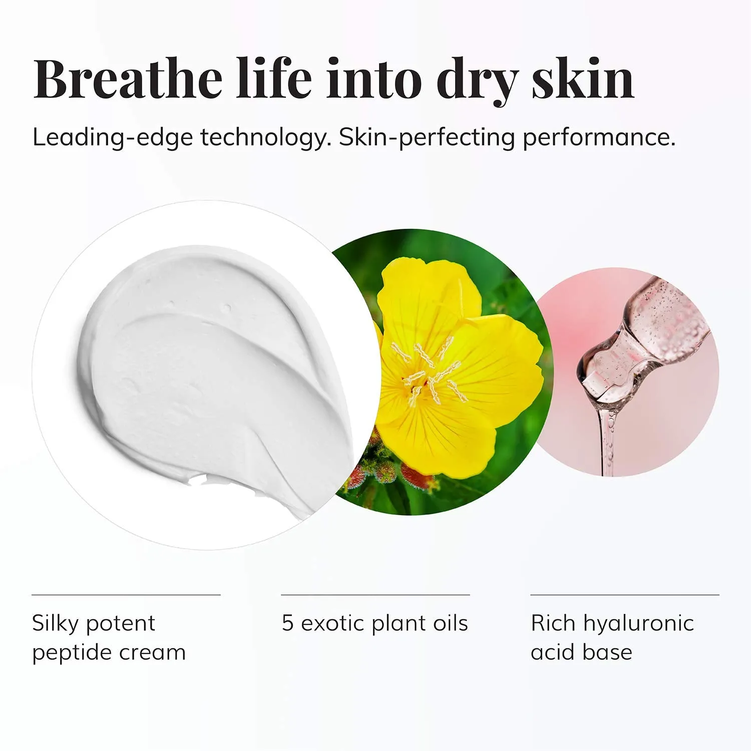 Le Mieux Bio Cell Rejuvenating Cream