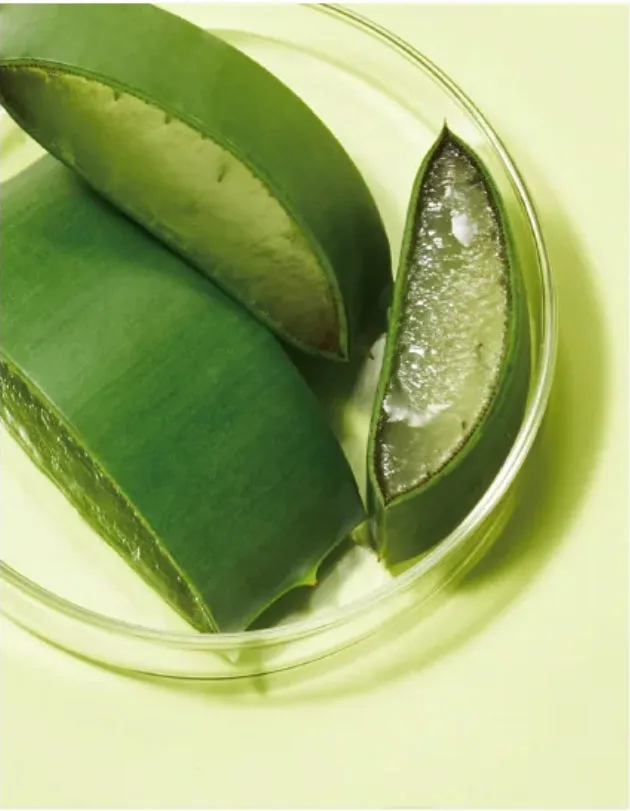Nature Republic Soothing & Moisture Aloe Vera Foam Cleanser غسول رغوي بالألوفيرا
