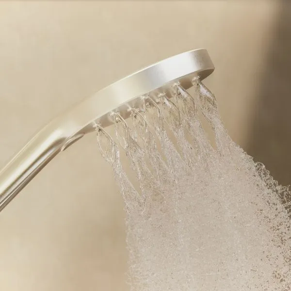 Phoenix Tapware Ormond Twin Rail Shower Brushed Nickel