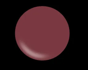 SLAY 223 C LIPGLOSS